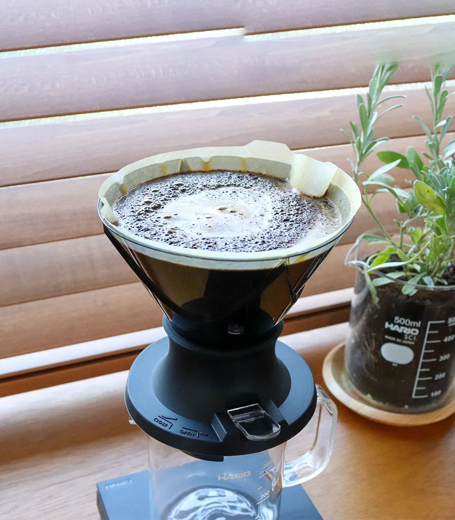Hario Mugen x Switch Dripper