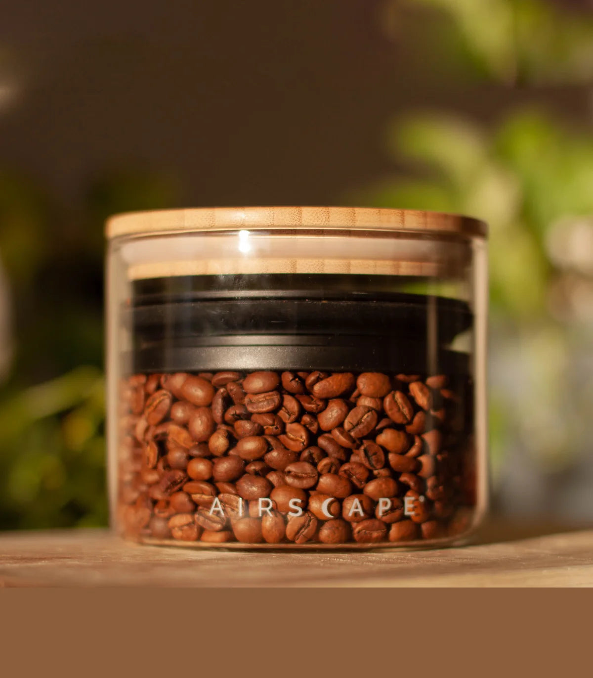 Airscape – Airtight Glass Coffee Container