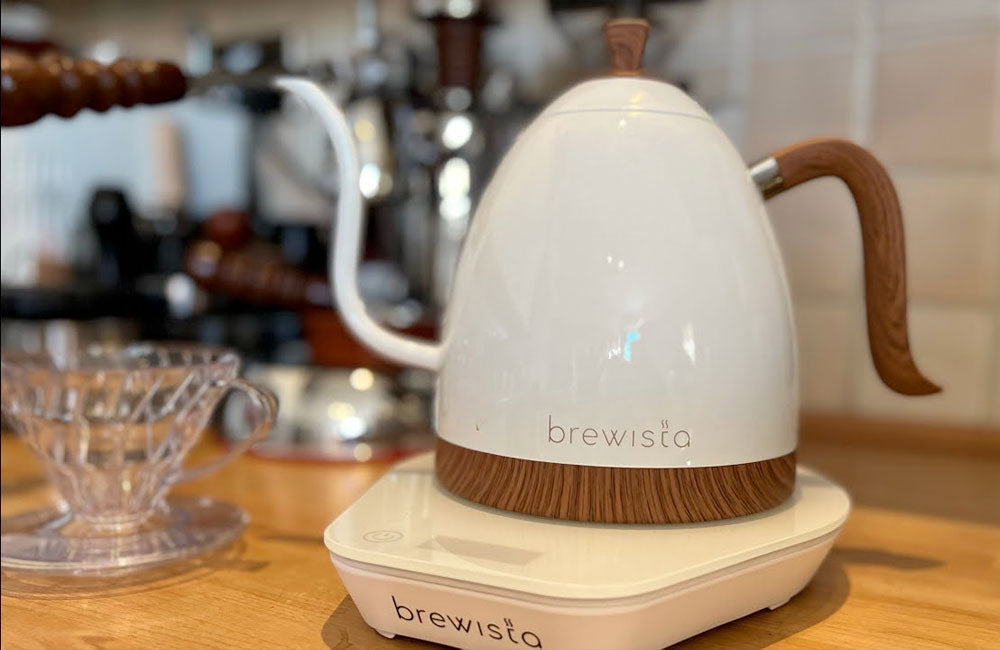 Kettle Brewista Artisan