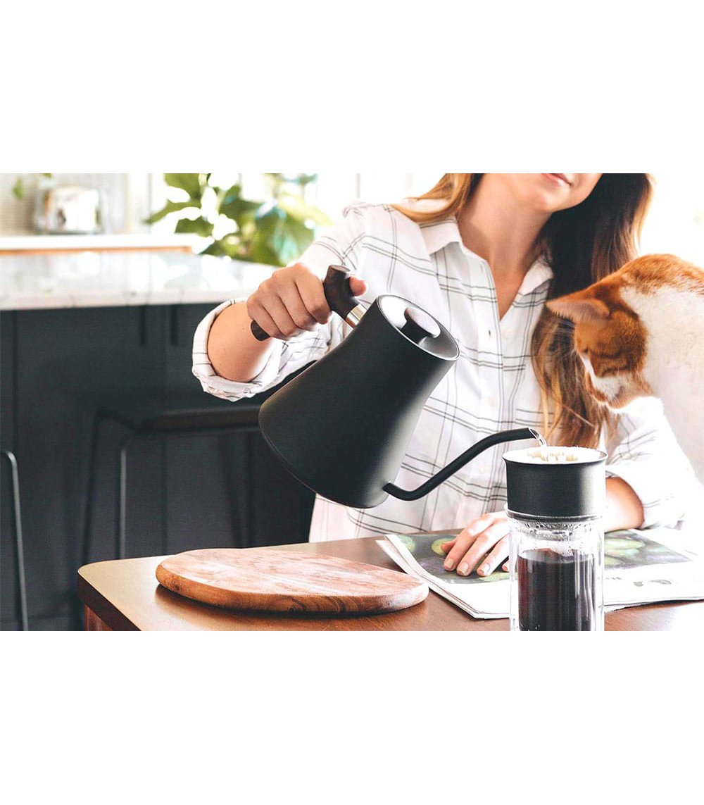 Fellow Kettle - Stagg EKG Electric Kettle