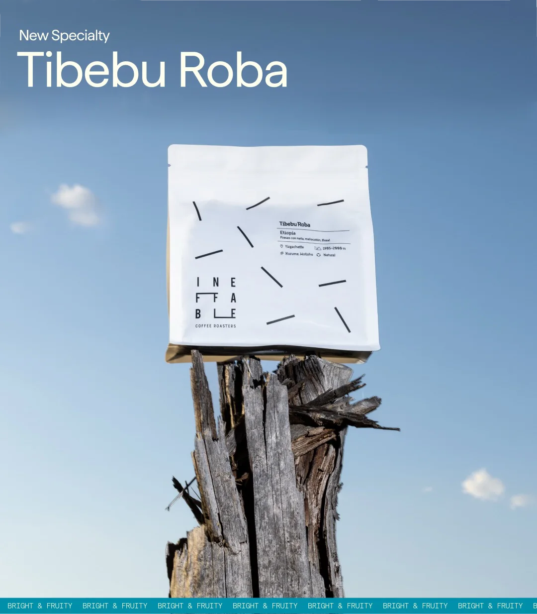 Tibebu Roba