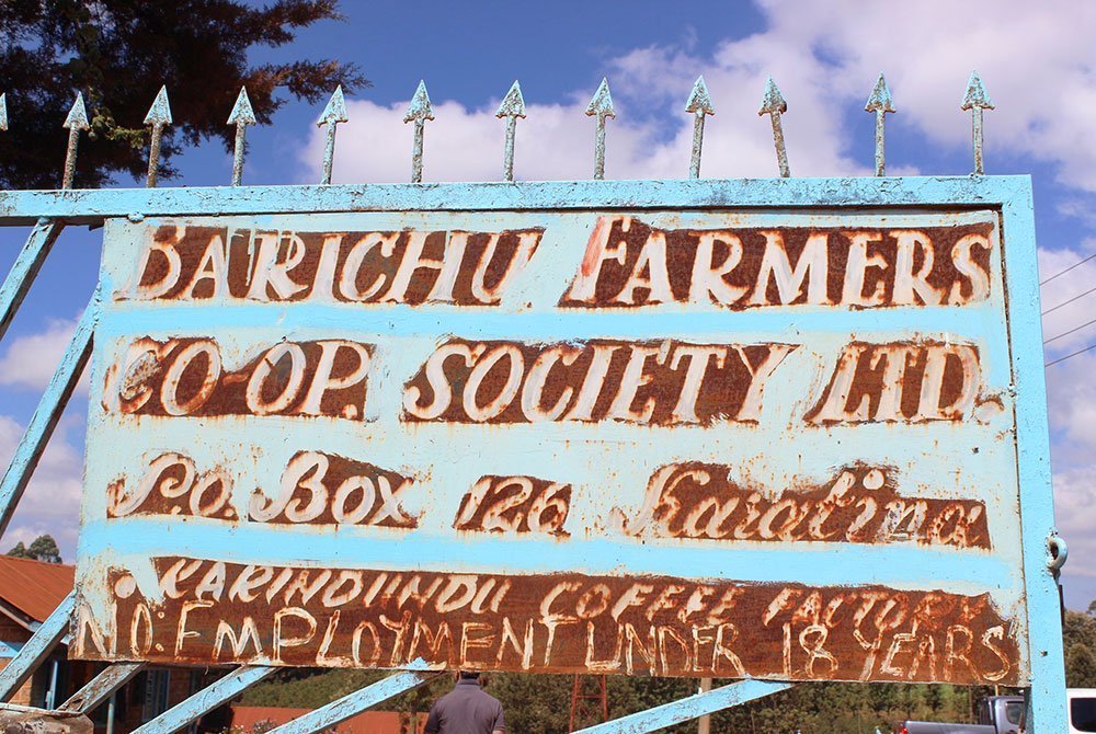 Karindundu AB high altitude coffee from mount Kenya 6