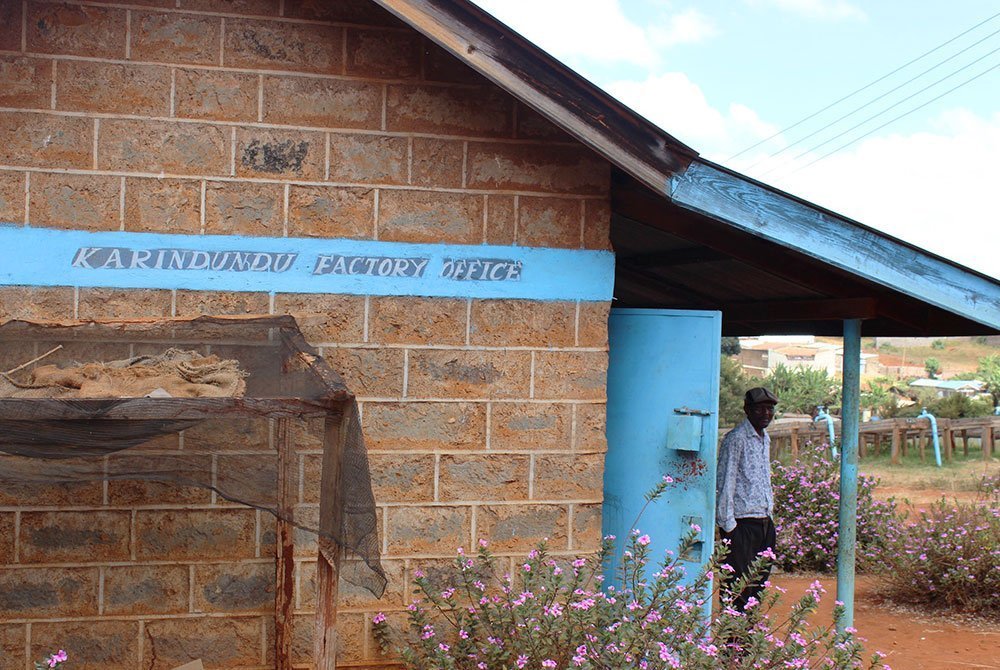 Karindundu AB high altitude coffee from mount Kenya 7