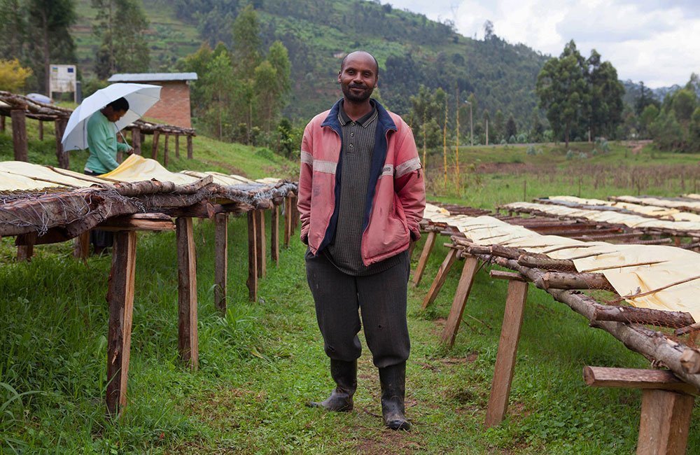 Silky and clean bourbon from Bushoki washing station in Ruanda 6