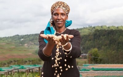 Café de la ladera del monte Huye al sur de Ruanda