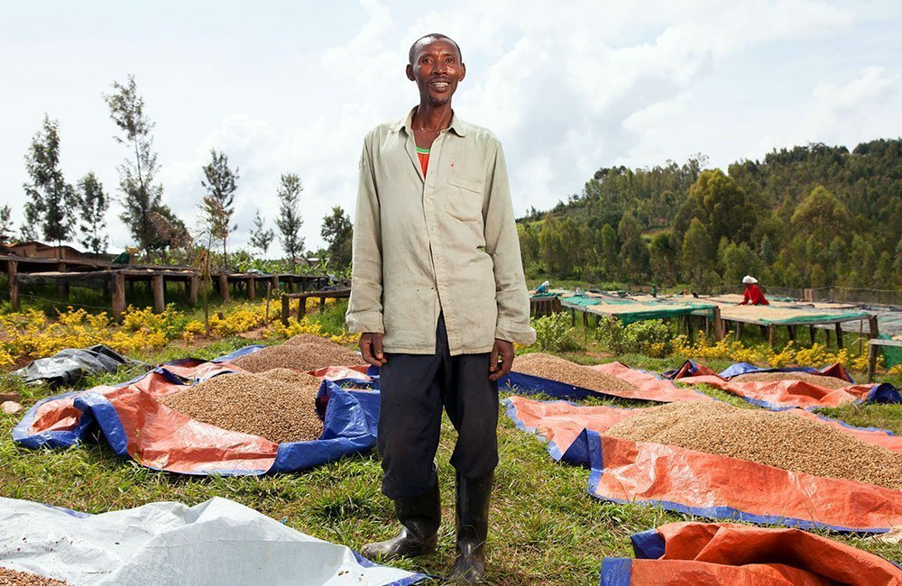 Run Mountain. Coffee on the slopes of Mount Huye in southern Rwanda. 