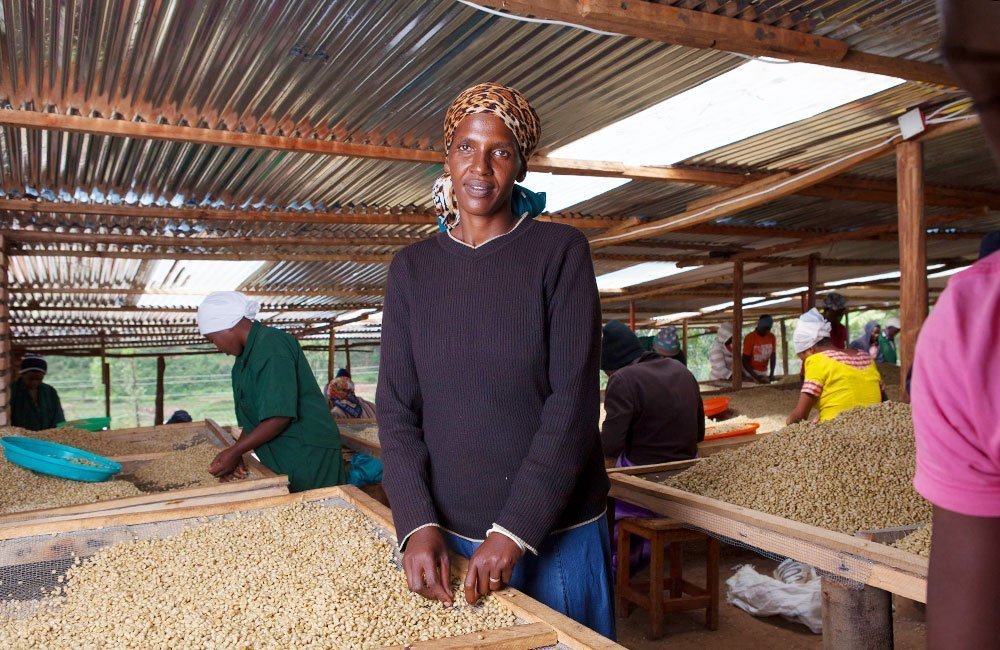 Run Mountain. Coffee on the slopes of Mount Huye in southern Rwanda. 