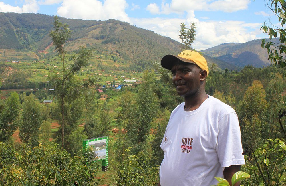 Huye Mountain. Café de la ladera del monte Huye al sur de Ruanda. 