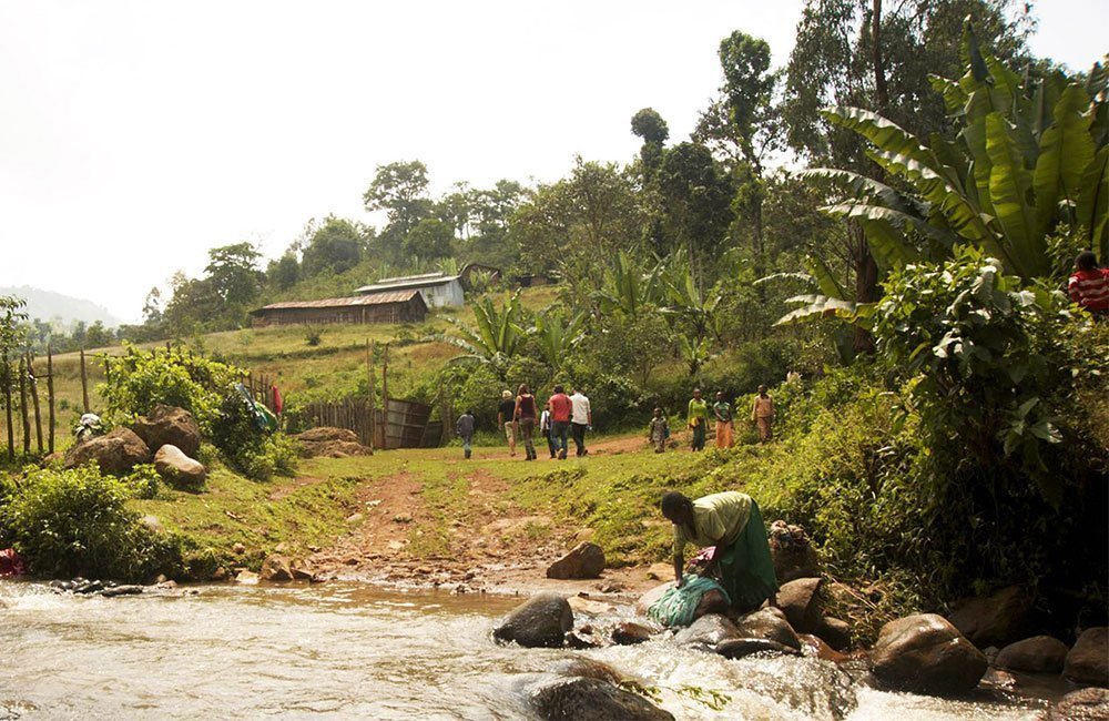 Muchagara AB one of the oldest washing stations in Kenya