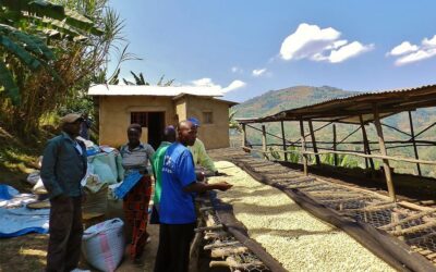Matyazo is one of Rwanda’s great Specialty Coffees