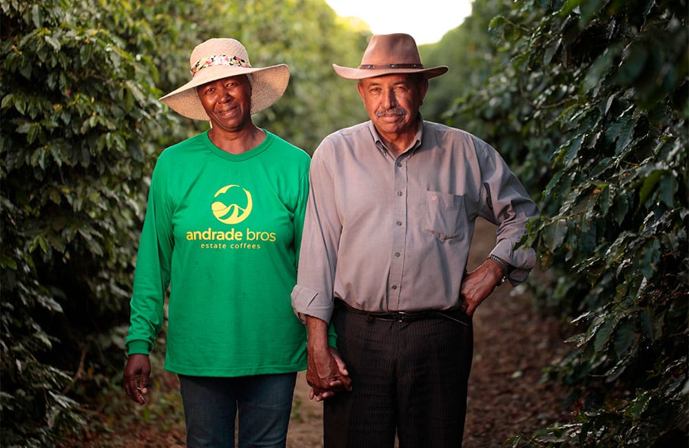 Specialty coffee from Sao Silvestre farm in Brazil