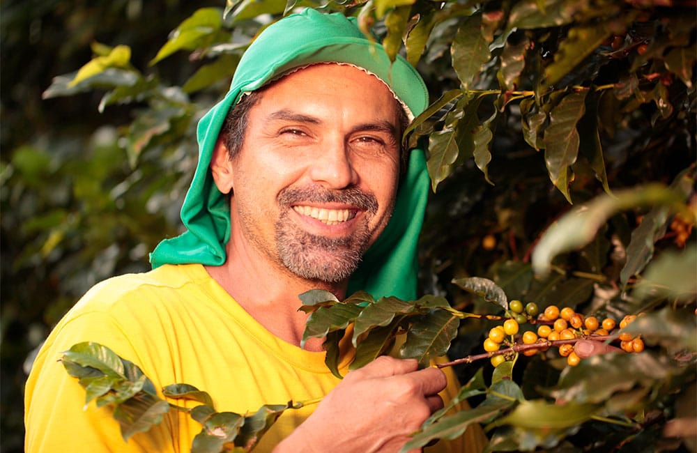 Specialty coffee from Sao Silvestre farm in Brazil