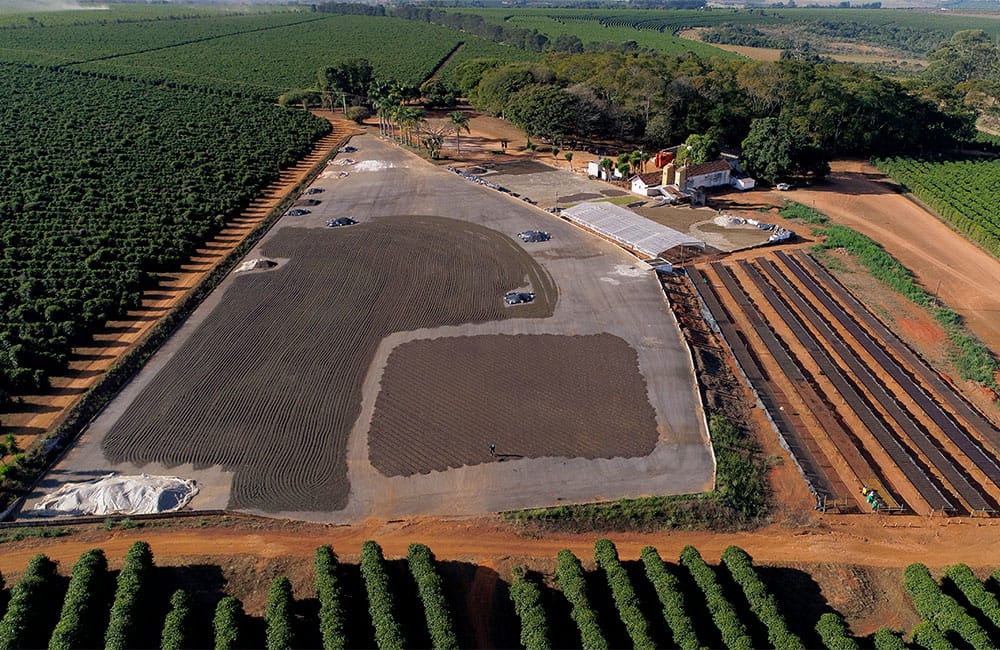 Café de especialidad de la finca São Silvestre en Brasil