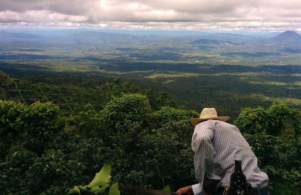 Costa Rica Corazón De Jesús, Double Anaerobic Natural Typica – ONA