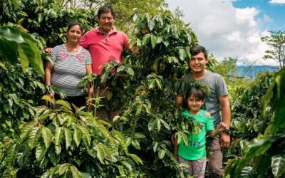New specialty coffee from Perú produced by women
