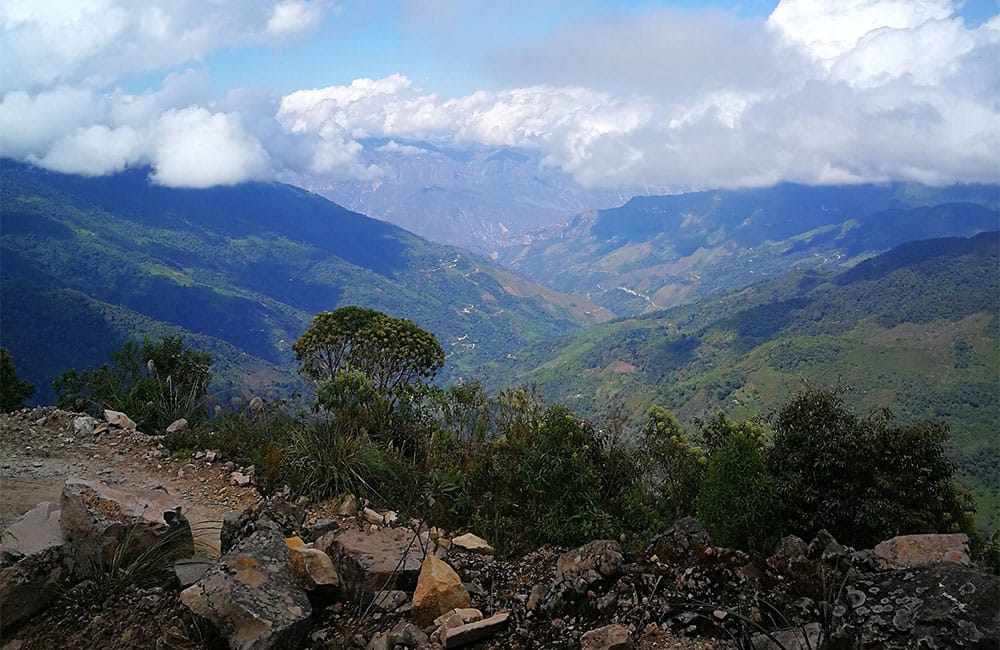 New specialty coffee from Perú produced by women in 2020