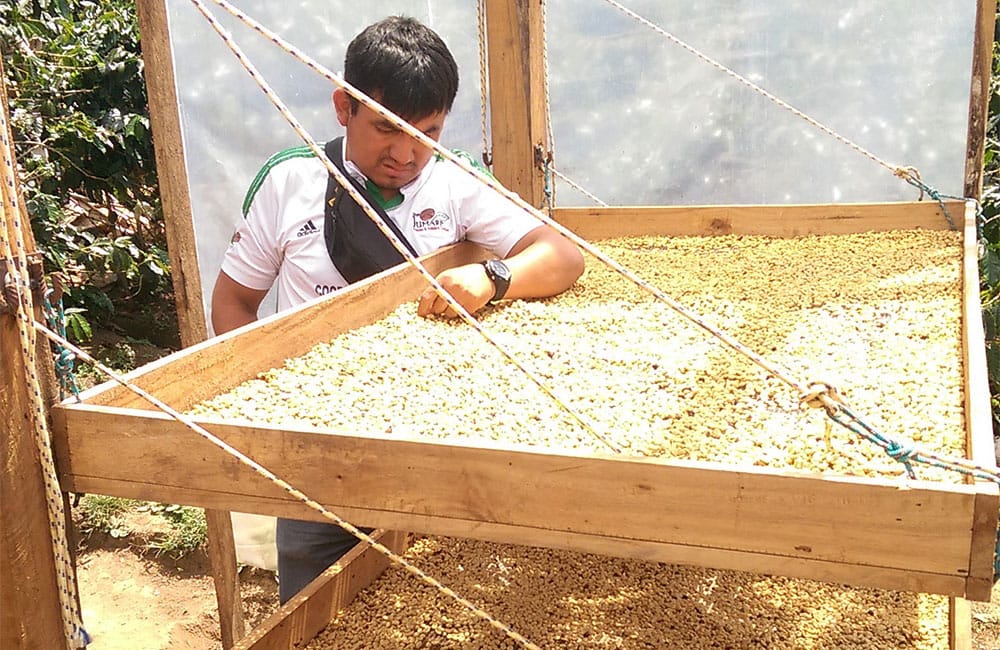 New specialty coffee from Perú produced by women in 2020