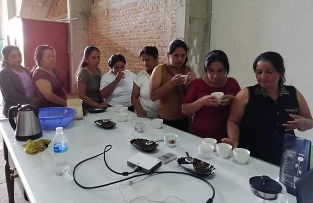 El Palto Mujeres Perú café de especialidad cosecha 2020