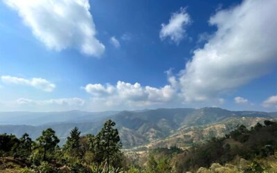 12 pequeños productores y un gran café de Mario Recinos