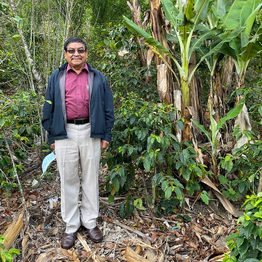 12 pequeños productores y un gran café de Mario Recinos