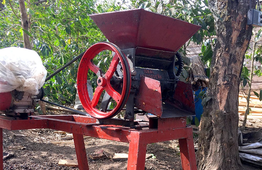 12 pequeños productores y un gran café de Mario Recinos