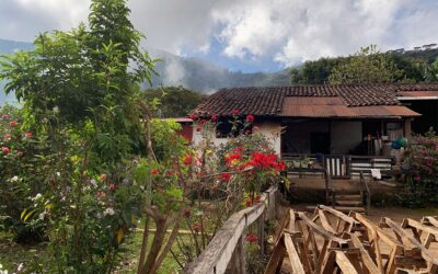 Coffee From Lombardia Farm Against Climate Change