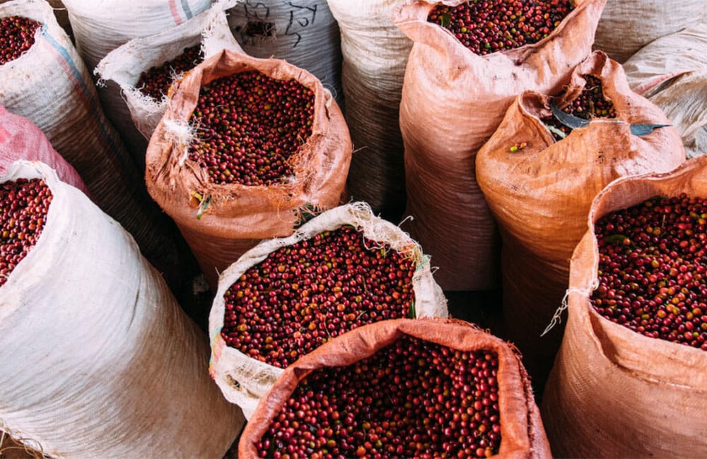 Suke Quto un café para la comunidad