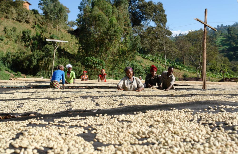 Suke Quto un café para la comunidad