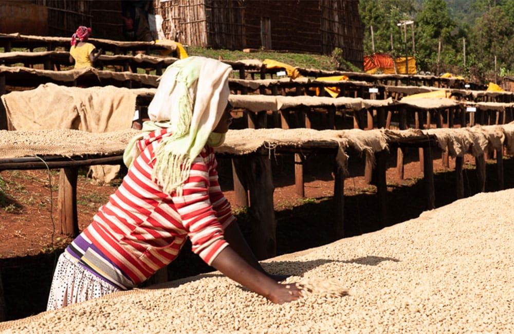 Suke Quto un café para la comunidad