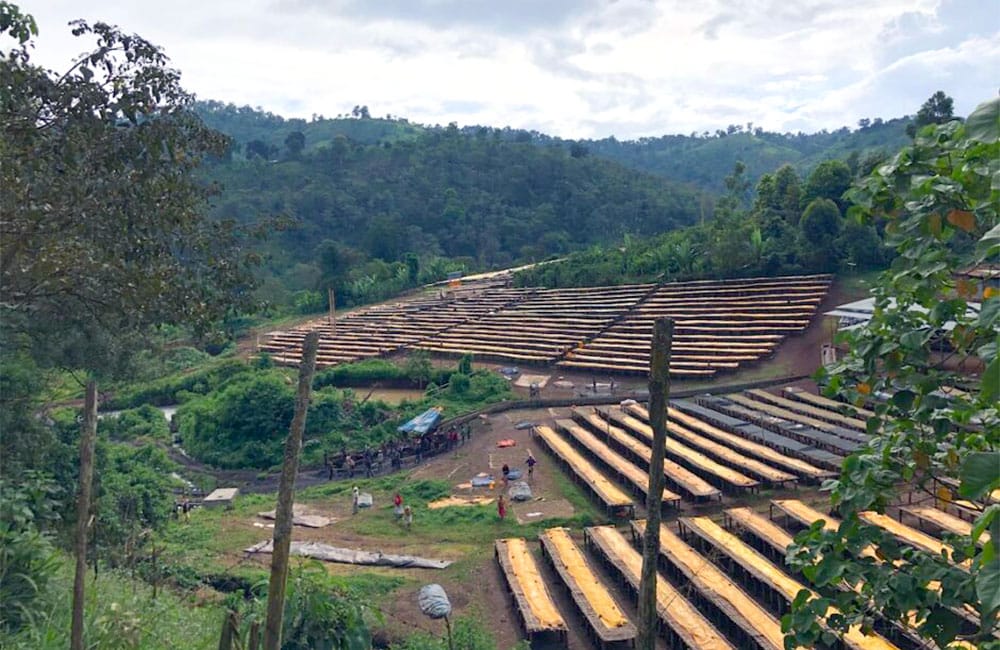 Suke Quto un café para la comunidad