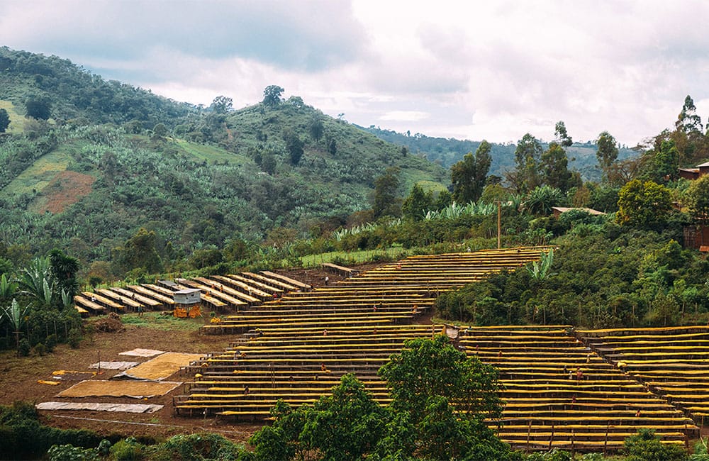 Suke Quto un café para la comunidad