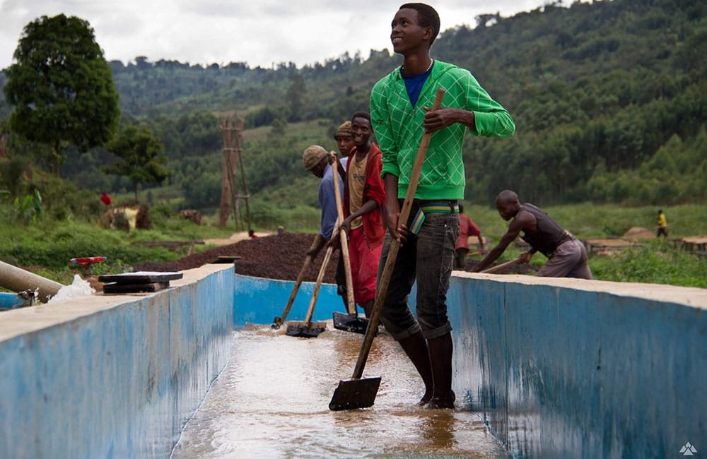 Busasa Burundi a 1.800m cosecha de 2022