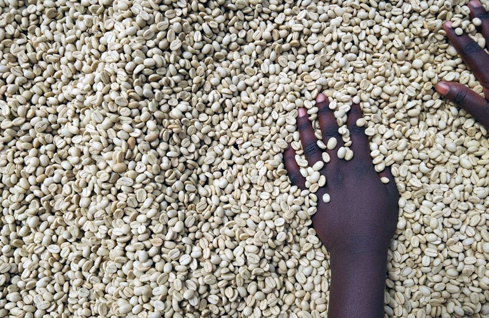 Cyato a specialty coffee from Smallholders in Rwanda