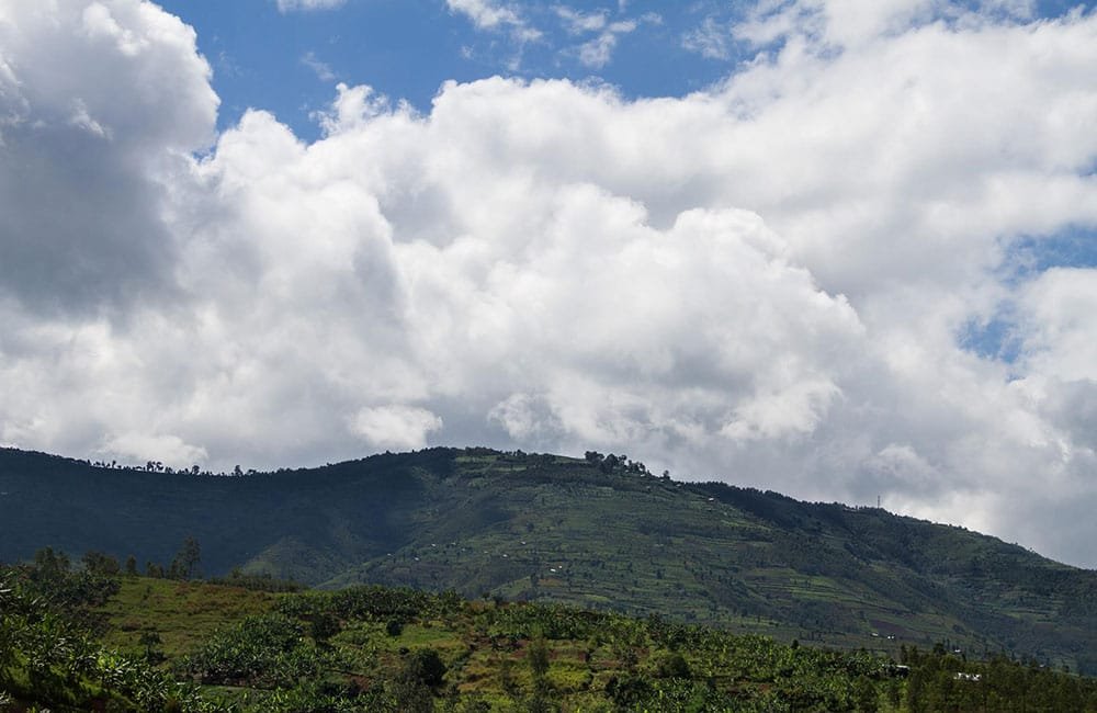 Rugali anóxico natural un lote de competición de Ruanda