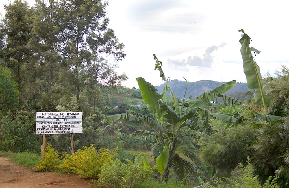 Rugali anóxico natural un lote de competición de Ruanda
