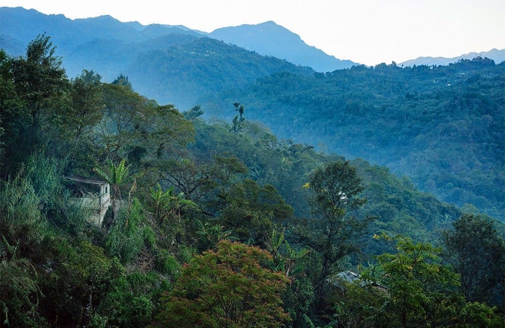 Mumuxa - Guatemala - Lavado, cosecha 2022