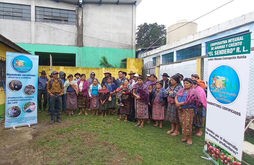 Mumuxa - Guatemala - Washed, harvest 2022