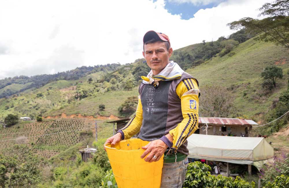 Café de Colombia El Rubí lavado. Imagen de la finca.