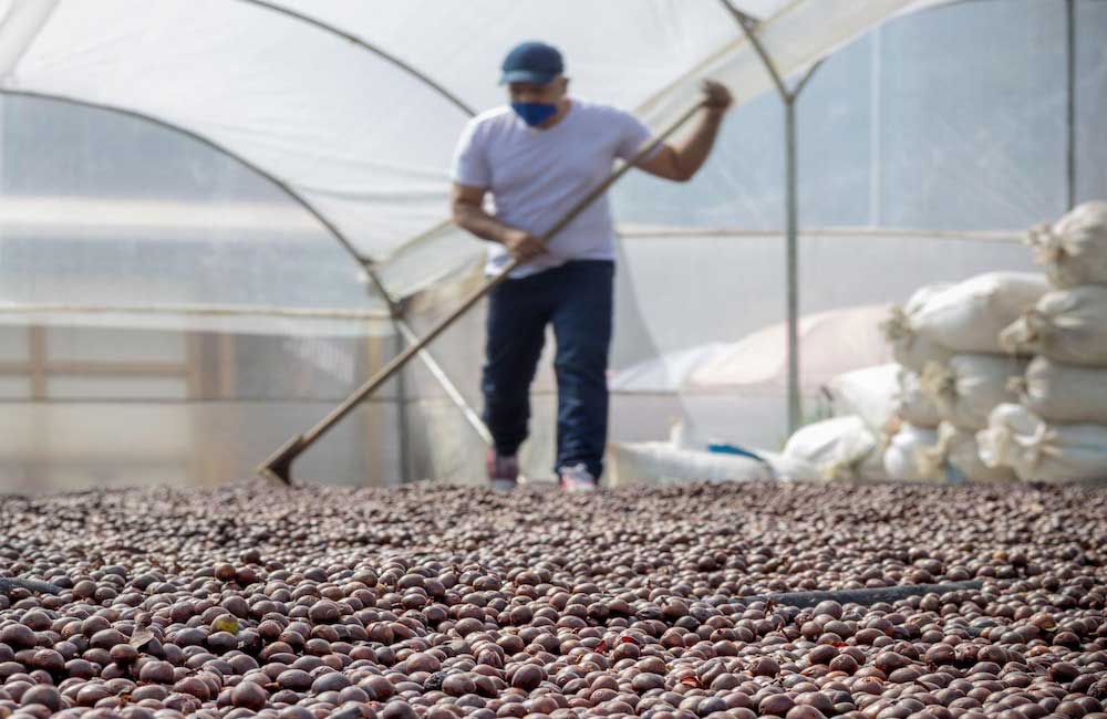 Café de Colombia El Rubí lavado. Imagen de la finca.