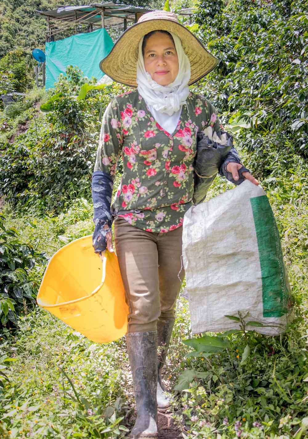 Café de Colombia El Rubí lavado. Imagen de la finca.