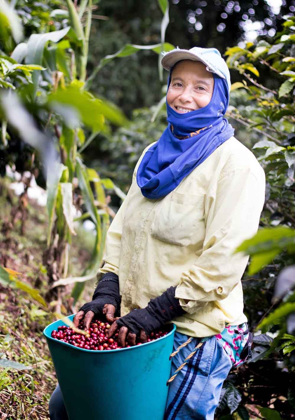 Café de Colombia El Rubí lavado. Imagen de la finca.