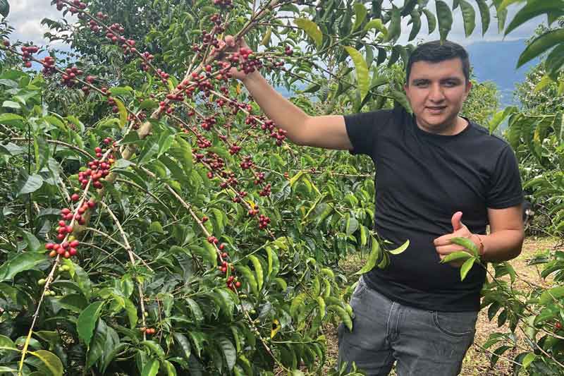 Café de Colombia Nestor Lasso 60h.