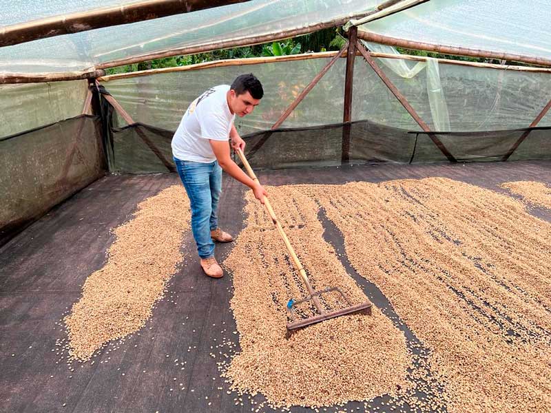 Café de Colombia Nestor Lasso 60h. Imagen de la finca.