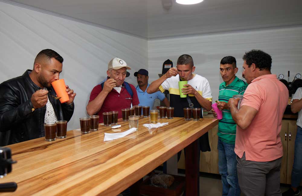 Café de Colombia Project CATA Pacamara Lavado Anaeróbico 90h