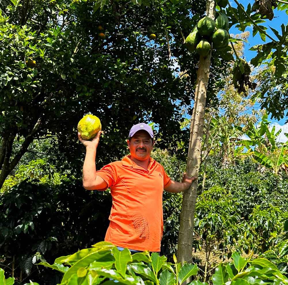 Café de Colombia Nestor Lasso 60h. Imagen de la finca.