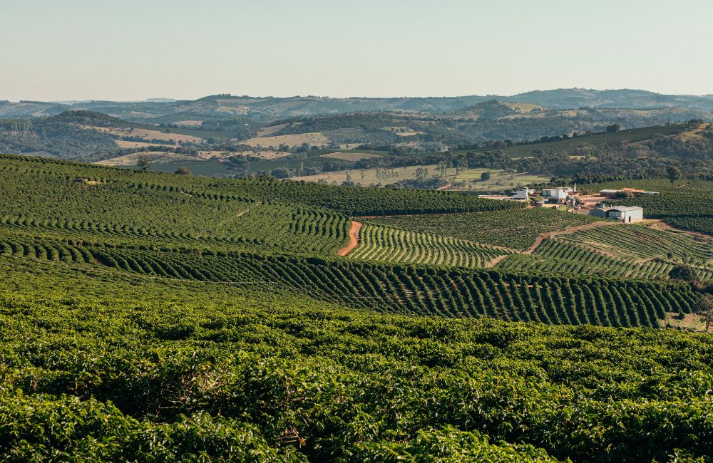 Café Brasil carbono neutral de Fazenda Vila Boa