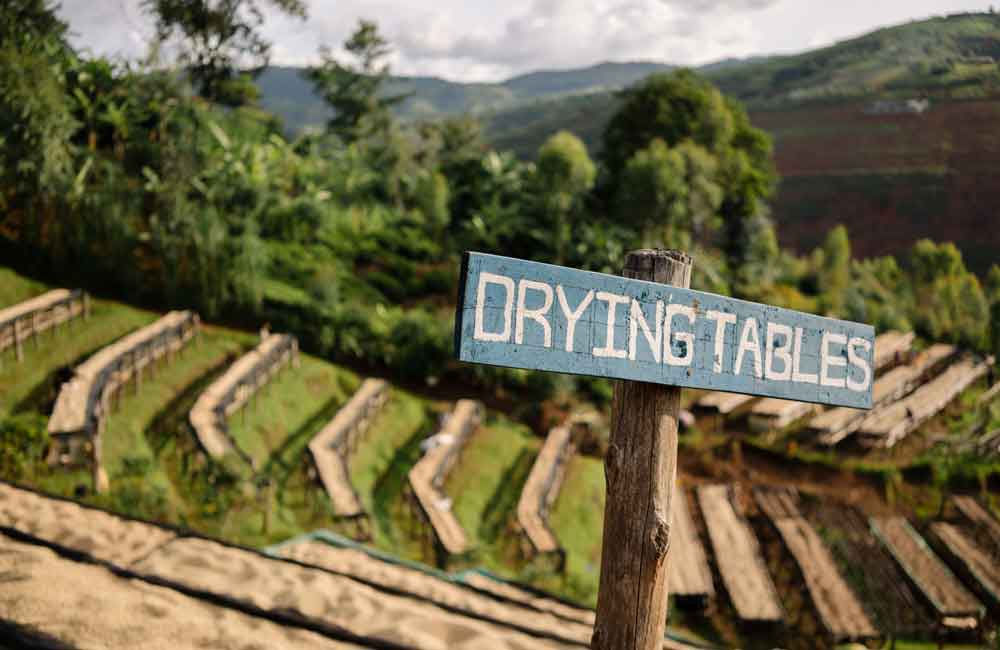 Café de Colombia El Rubí lavado. Imagen de la finca.