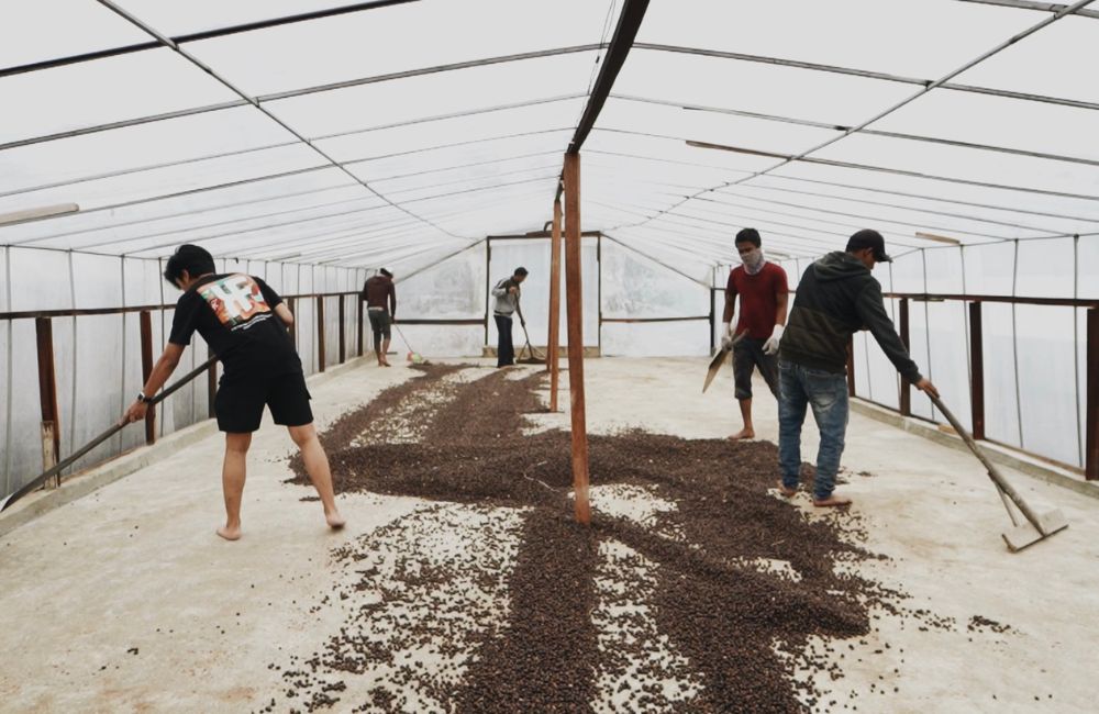 Un café de maceración carbónica proveniente de Indonesia