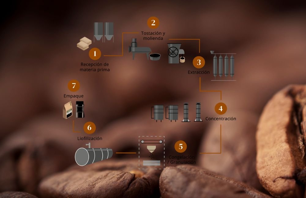 proceso del café liofilizado en un diagrama