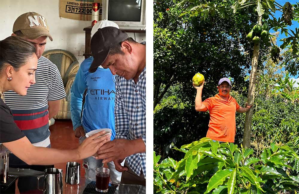 Detalles del Cultivo de café en Colombia